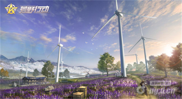 图片8.png 图片8.png