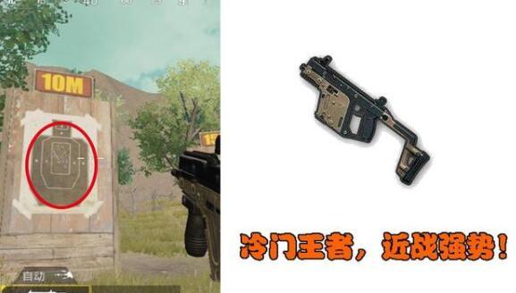 刺激战场枪械